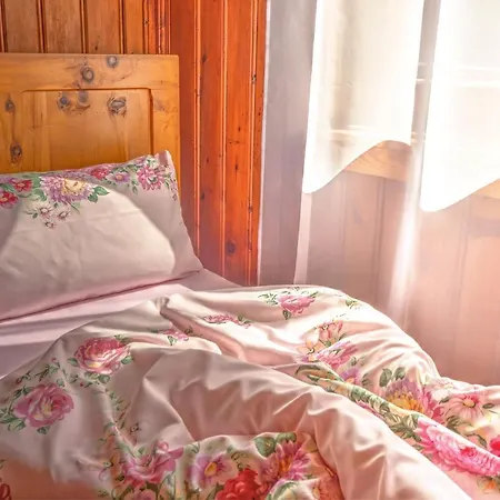 Rastenhof - Urlaub Auf Dem Bauernhof In Oesterreich * Gallzein